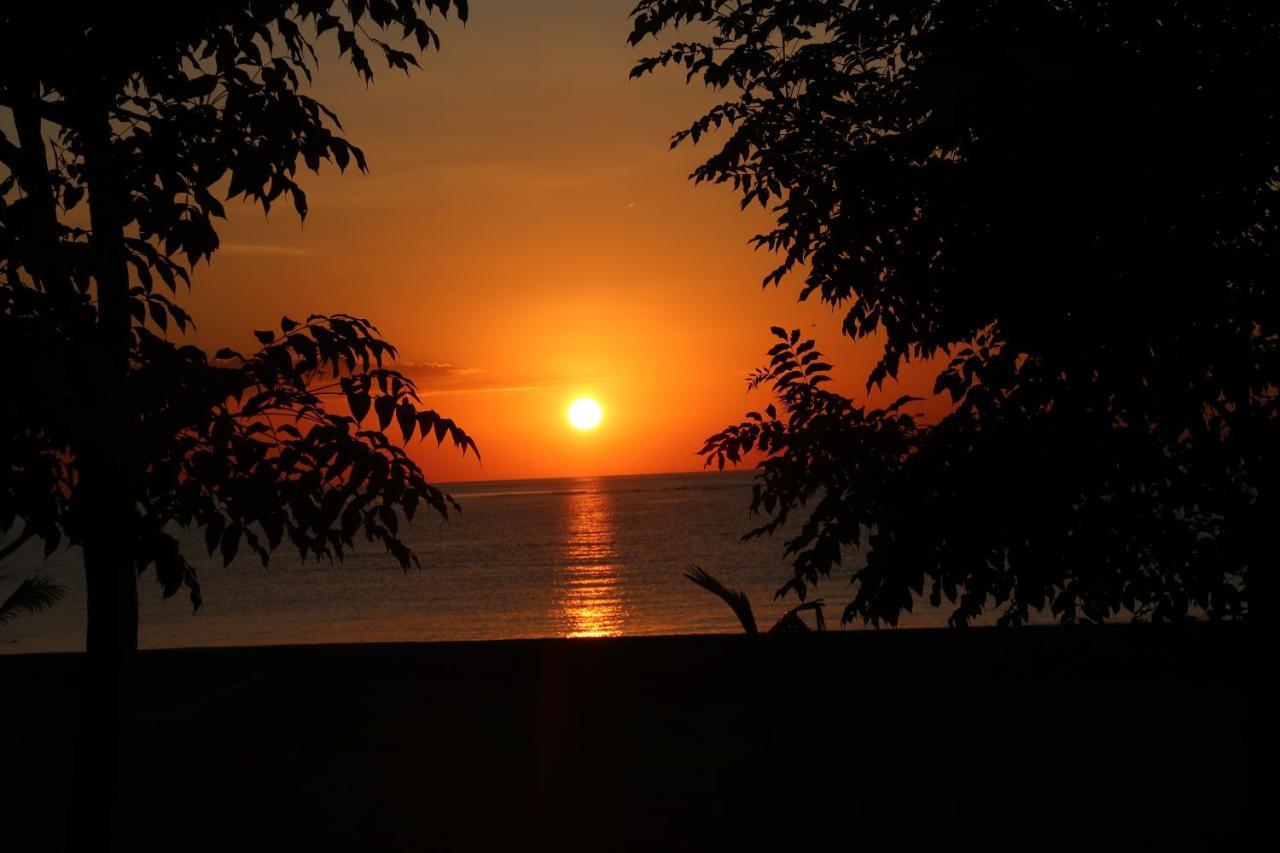 Beloi Atauro Dive Resort מראה חיצוני תמונה