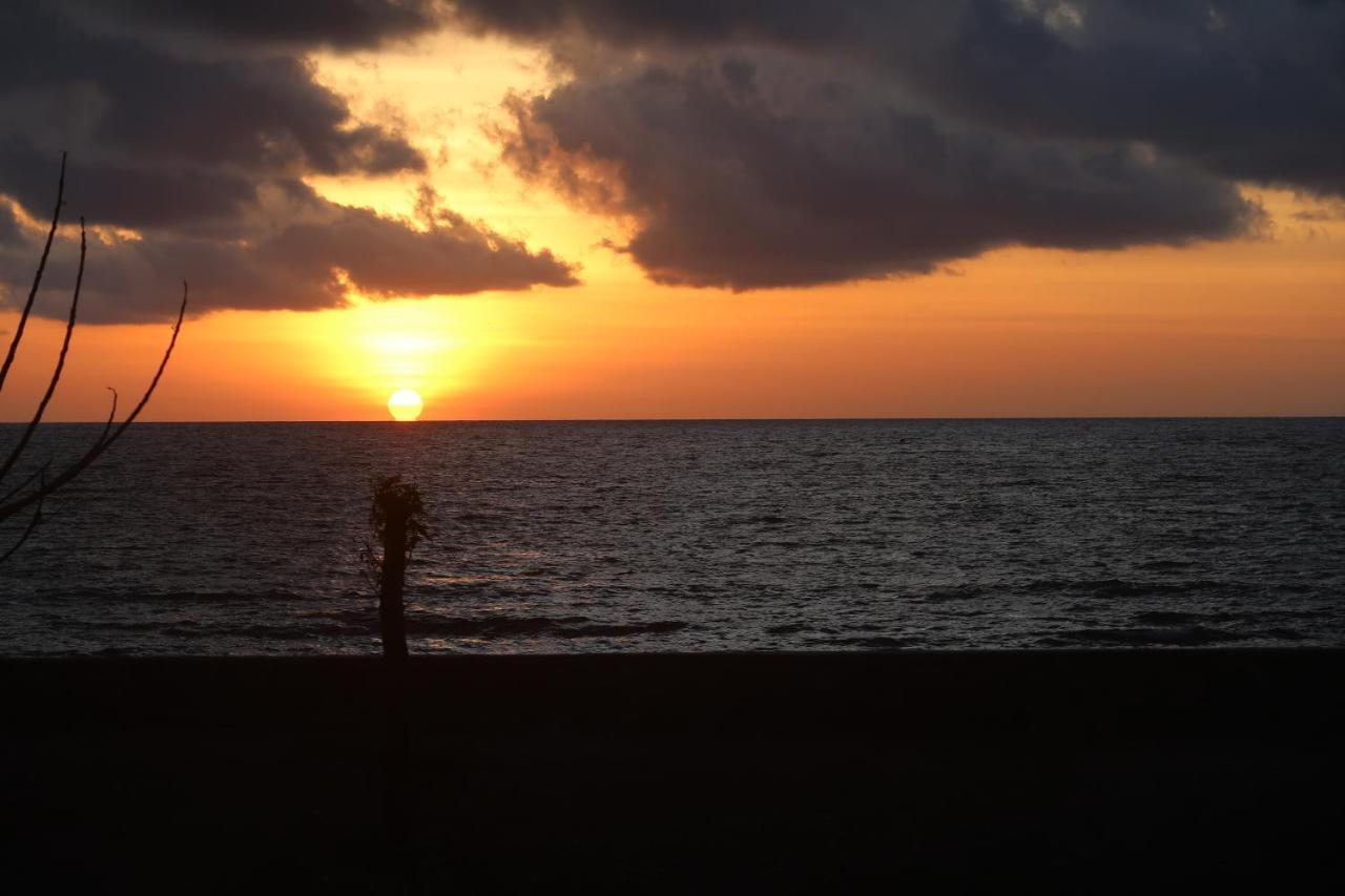 Beloi Atauro Dive Resort מראה חיצוני תמונה