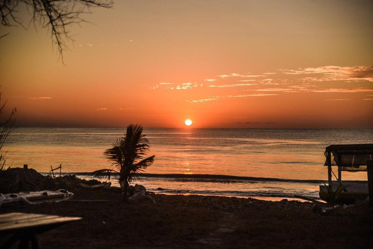 Beloi Atauro Dive Resort מראה חיצוני תמונה
