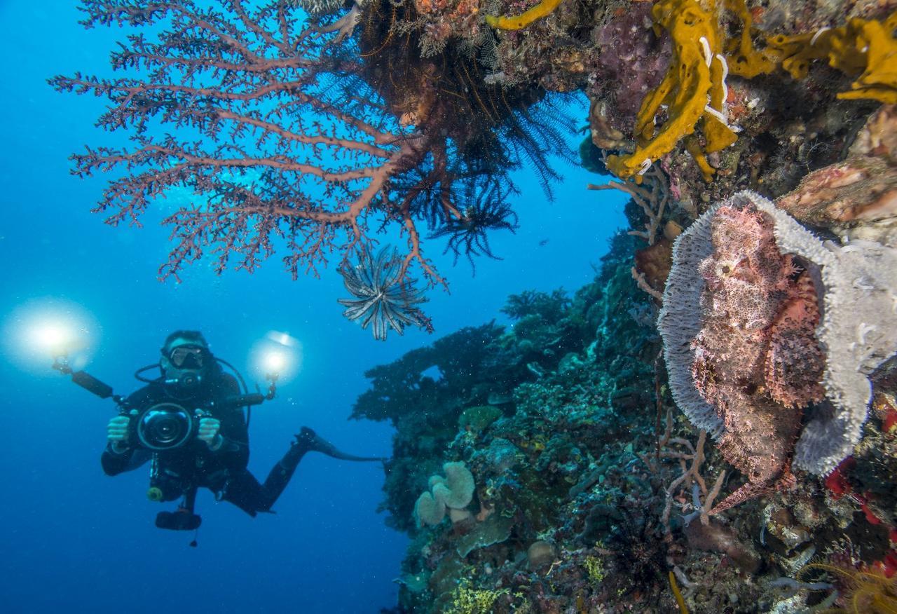 Beloi Atauro Dive Resort מראה חיצוני תמונה