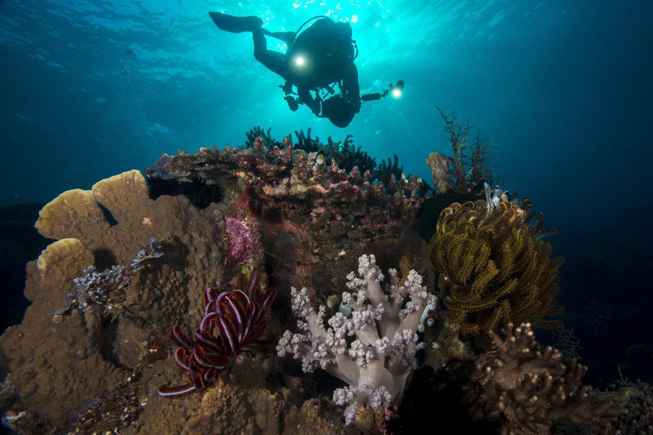 Beloi Atauro Dive Resort מראה חיצוני תמונה